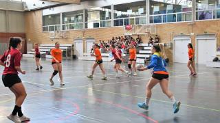 Final Balonmano FECEM -Cerbuna